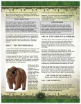SpecialAreaRangerHideout-p16.png