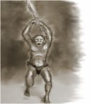orc2a-fur.jpg