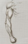 arm1a.jpg